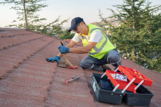 Quick and Trustworthy Emergency Roof Repair Services in Chula Vista, TX