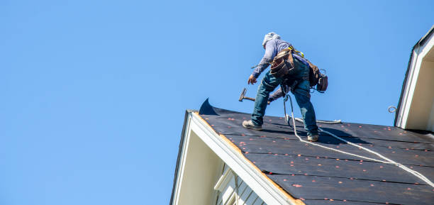 Best Storm Damage Roof Repair  in Chula Vista, TX